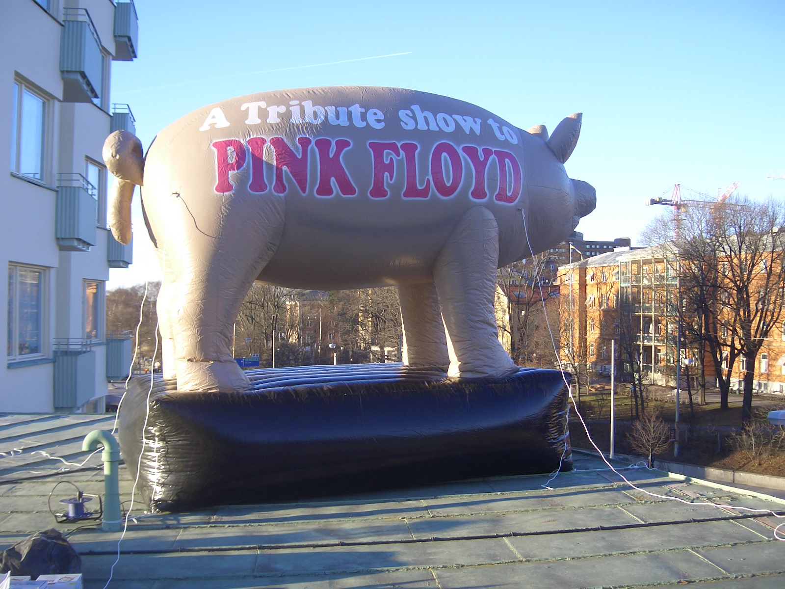 Pink Floyd grisen 5 m lång fläktdriven