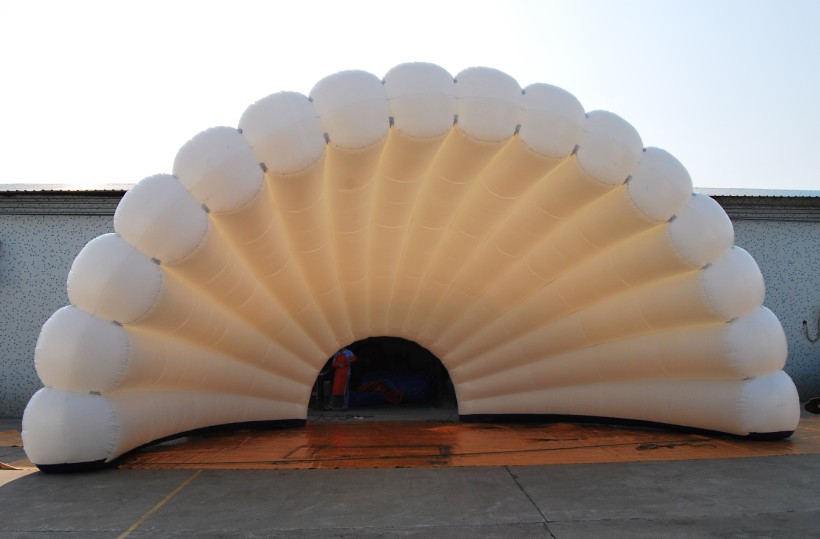 Scentak the shell 16